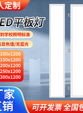 超薄LED平板灯100x150x200x250x1200嵌入式石膏板弹簧卡扣长条灯