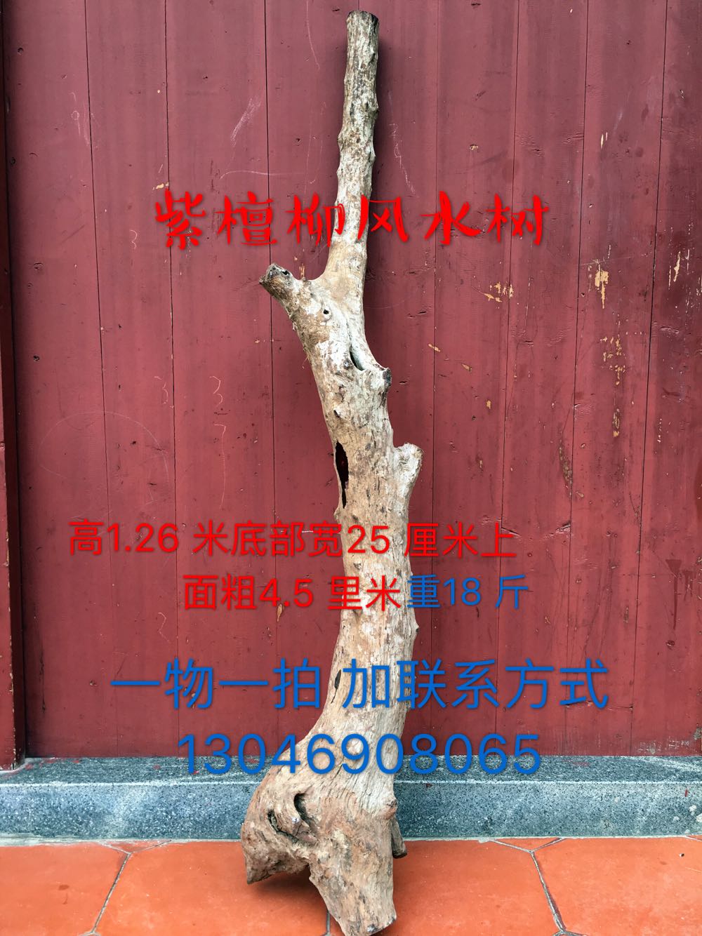 紫檀榴柳原木料根料留疤拐棍料留疤料手串佛珠随型料珠子料diy