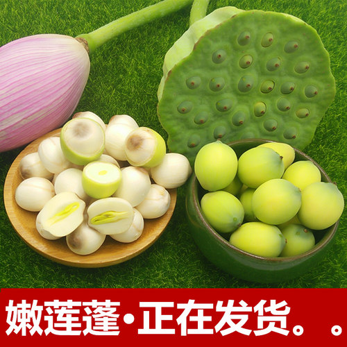 【特嫩不苦】新鲜莲蓬可生吃莲子
