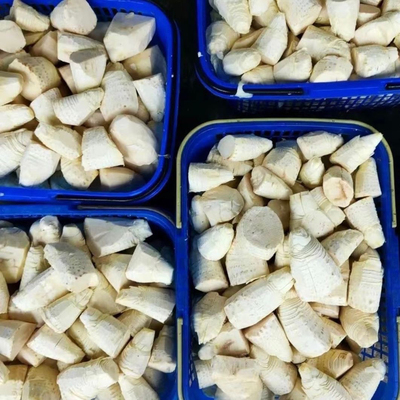 新鲜冬笋肉现挖现剥去壳净肉真空