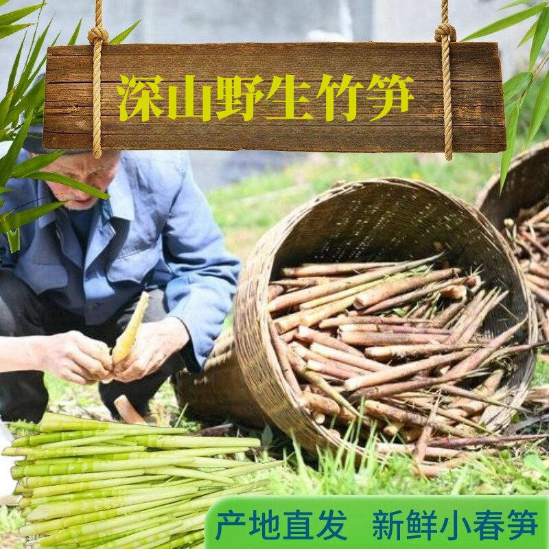 湖南野生竹笋新鲜现挖现发小竹笋山笋农家应季蔬菜甜笋带壳小笋子