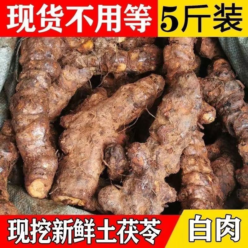 【新鲜】正宗现挖纯天然野生土茯苓正品白肉土茯苓硬饭头批发煲汤