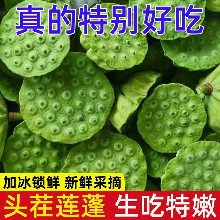 【莲蓬新鲜生吃】湖南湘莲生吃当季食用嫩莲米鲜莲子孕妇水果时令