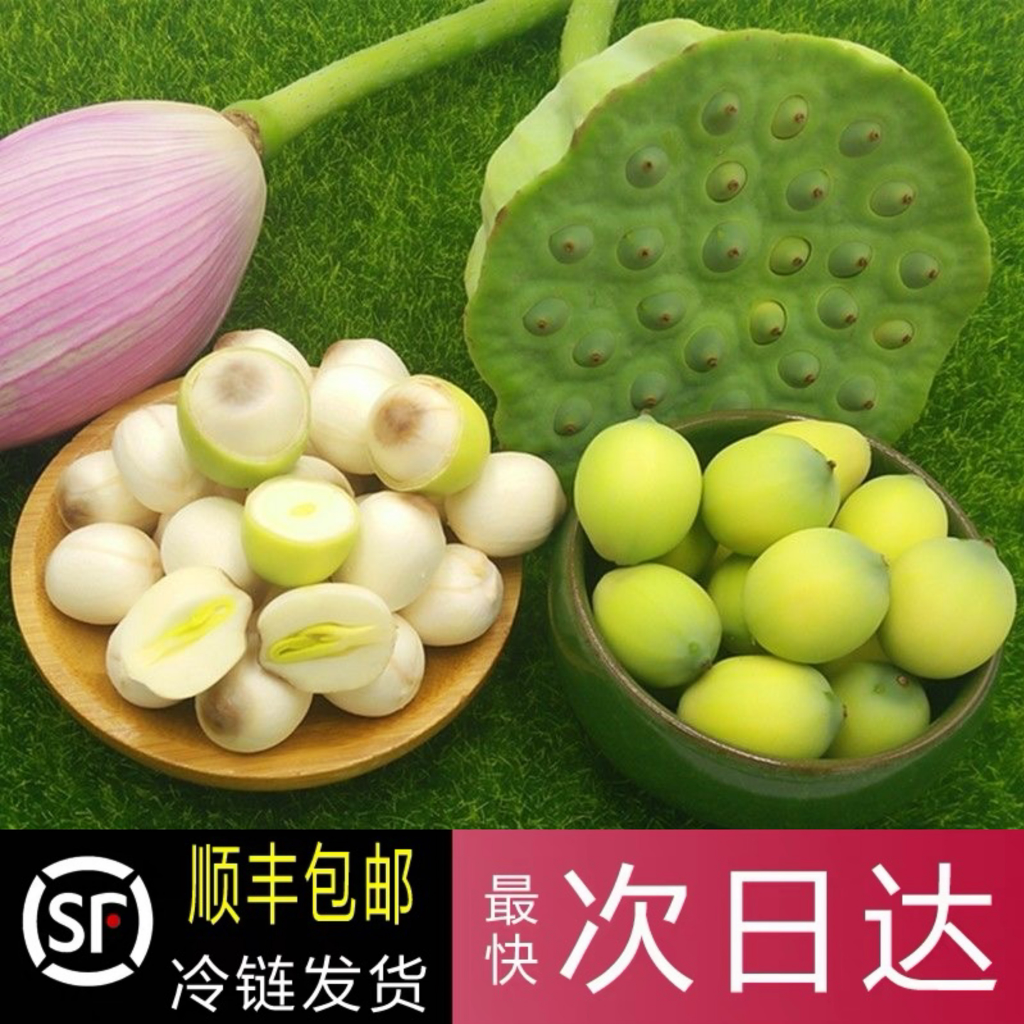 【大降价】现摘发新鲜莲蓬嫩莲子