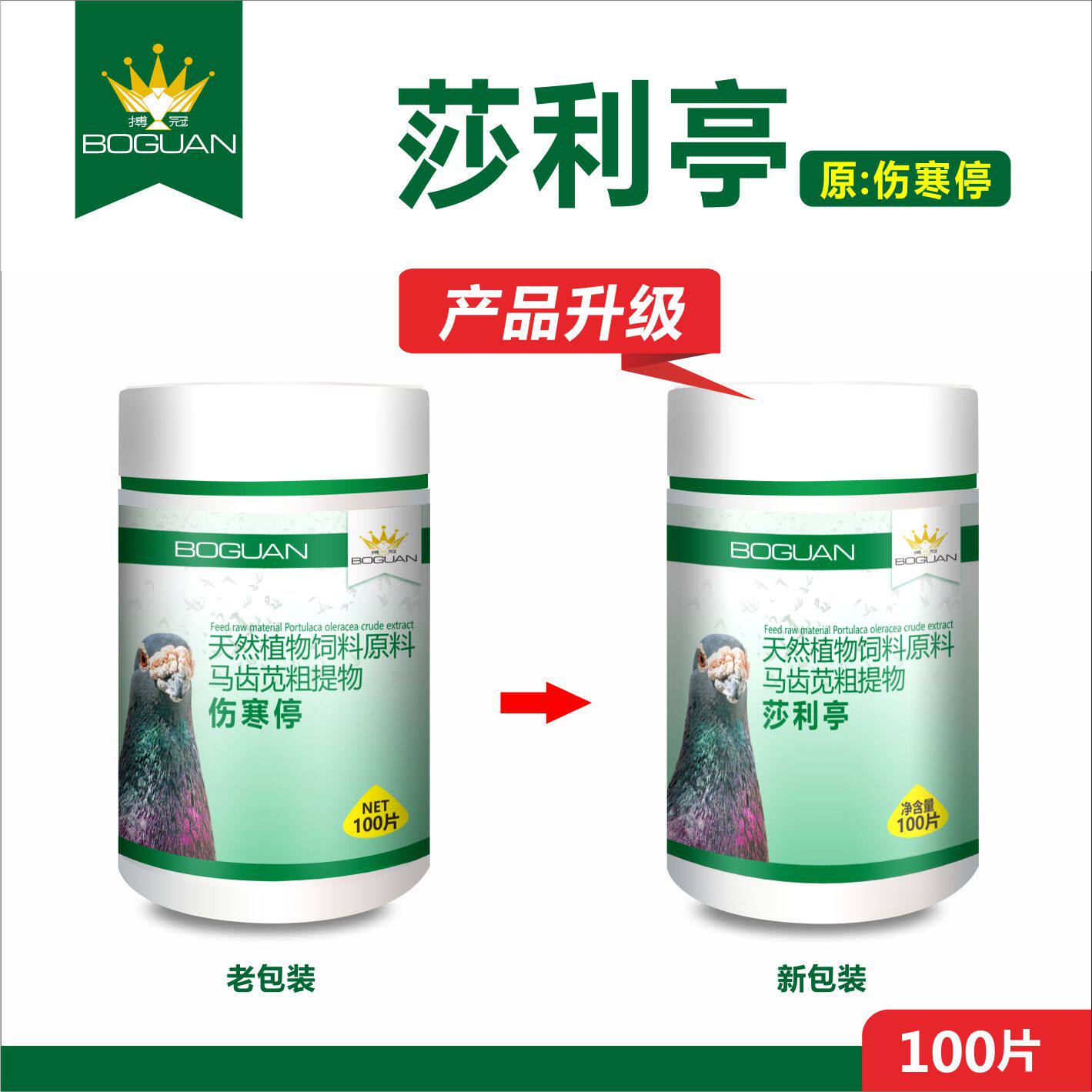 鸽子鹦鹉莎利停原伤寒停片副伤寒