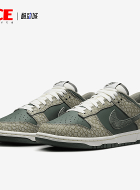 Nike/耐克正品 Dunk Low 男士复古低帮休闲板鞋HF4878-053
