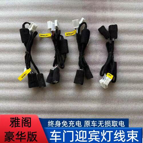 十一代雅阁原装免充电迎宾灯