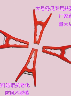 冬瓜夹子大号带齿罗汉果夹苦瓜夹丝瓜黄瓜绑枝扶蔓夹上架固定夹子