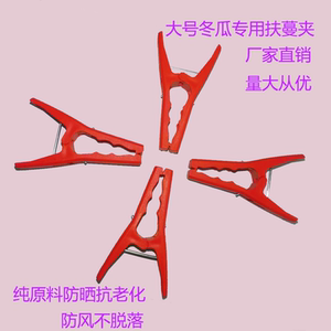 冬瓜夹子防风新式新款新料