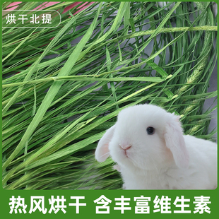 25年新烘干提摩西草干草兔子用品饲料龙猫粮食荷兰猪北提牧草800g