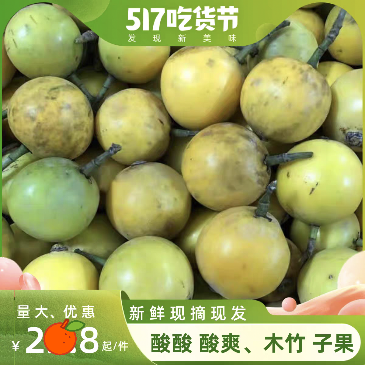 广西野生木竹子果酸桐子竹桔竹节子黄牙果山枇杷竹橘酸