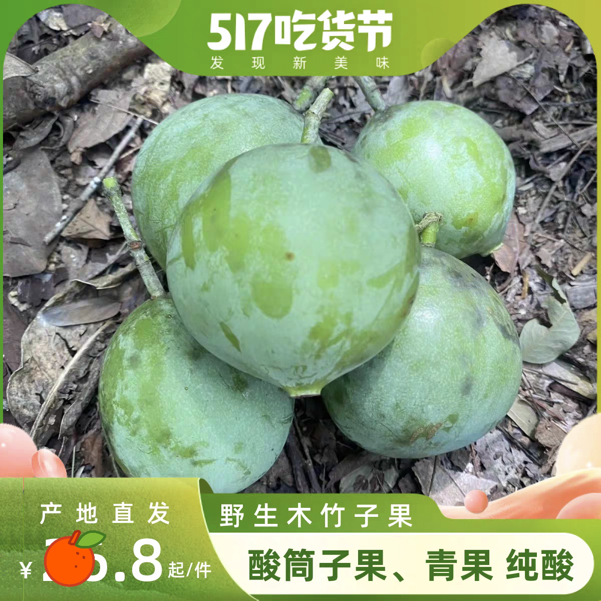 广西野生黄金山竹 黄牙果 山枇其它