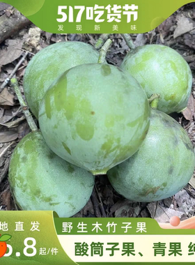 广西野生黄金山竹 黄牙果 山枇杷 竹橘酸 木竹子果 酸桐子 竹节子