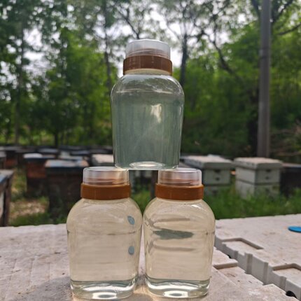 26年槐花蜂蜜土纯正天然农家自产蜜糖洋槐蜜孕妇液态成熟延安刺槐