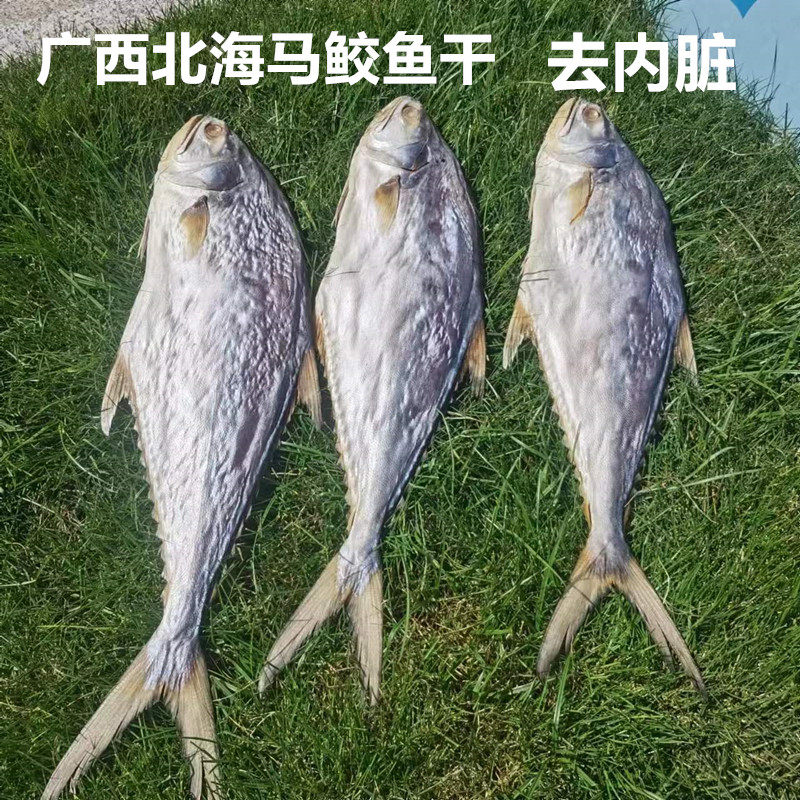 广西北海渔民自晒大鱼干海鱼干