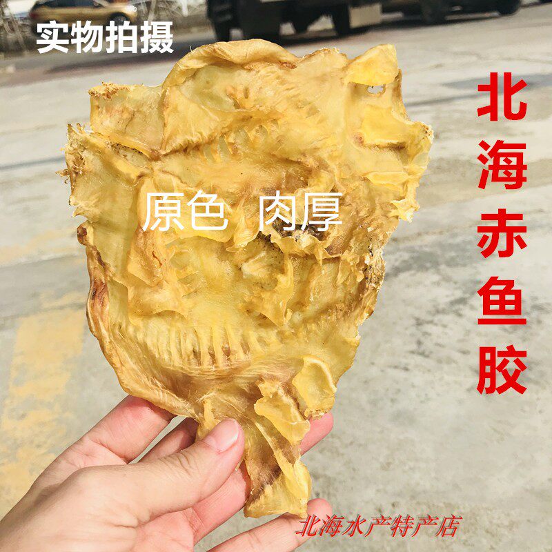 北海大号赤鱼胶炖汤炖牛奶
