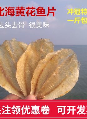 广西北海渔民自晒多味鱼片烧烤渔