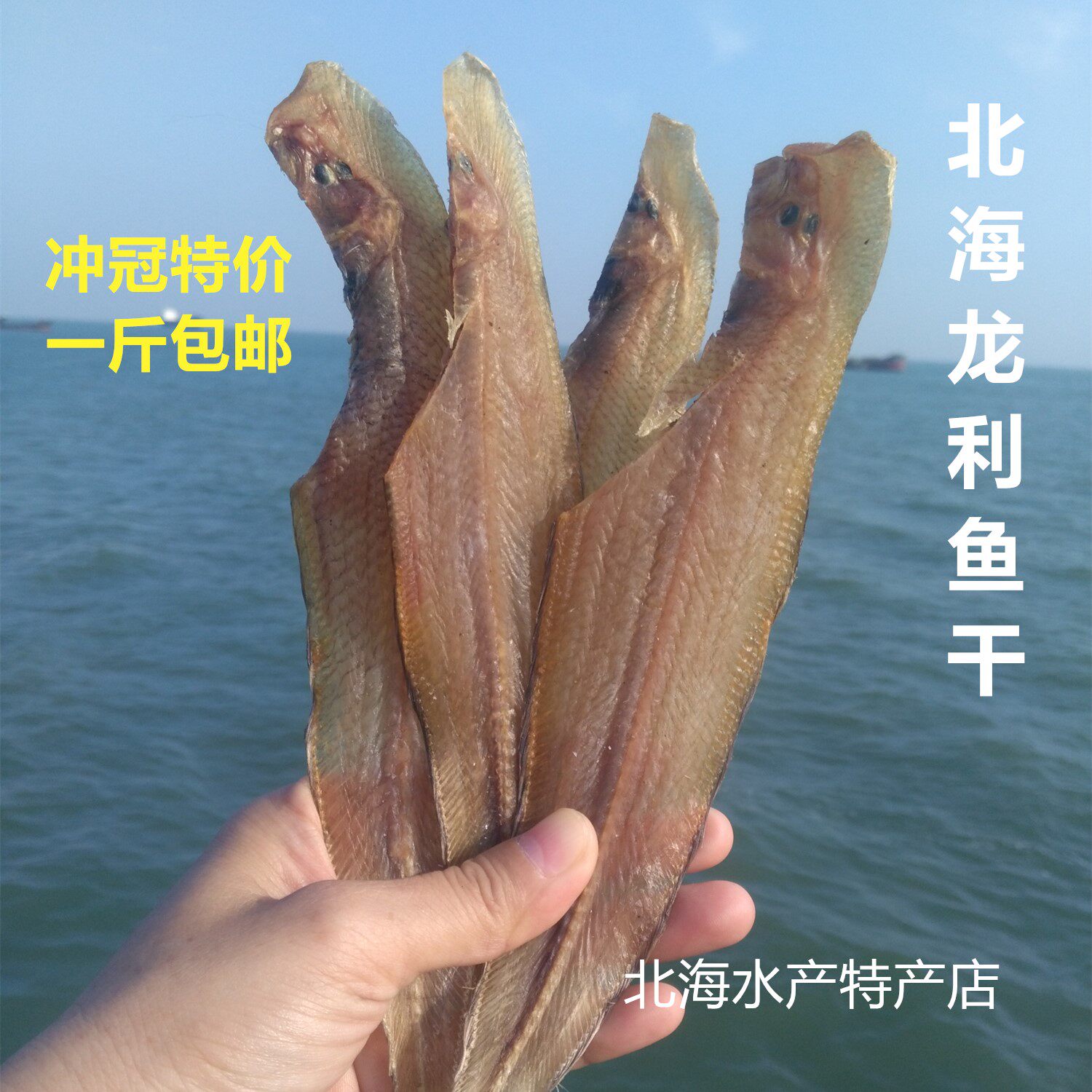 龙利鱼干北海渔民自晒海鱼干龙鳞鱼牛舌头踏板鱼海鲜干货500g油煎