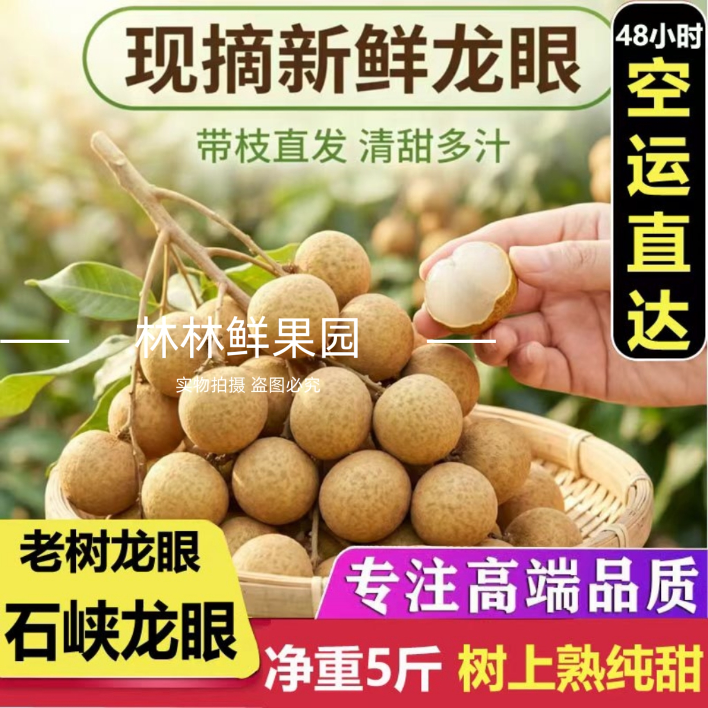 【空运直达】广东高州龙眼新鲜一级石硖龙眼5斤现摘现发储良高州