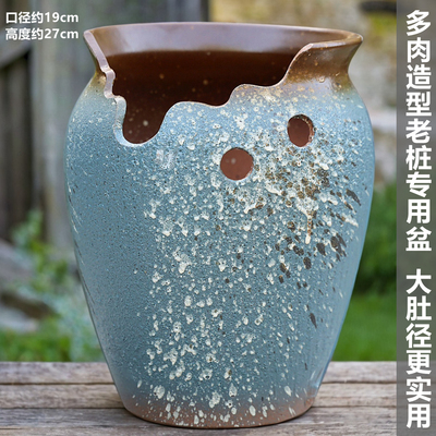 特大号家用多肉花盆陶瓷缺口加大肚径紫乐悬崖老桩专用盆清仓特价