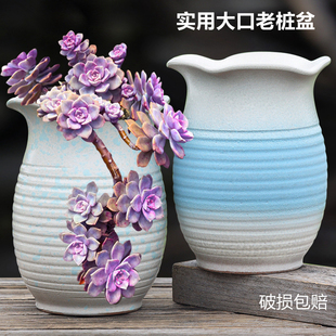 创意家用多肉植物老桩花盆陶瓷透气紫砂粗陶高盆法师专用清仓特价