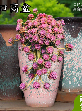 特大号多肉悬崖老桩花盆陶瓷家用大号切口阿伦培紫乐造型桩陶土盆