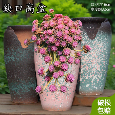 特大号多肉悬崖老桩花盆陶瓷家用大号切口阿伦培紫乐造型桩陶土盆