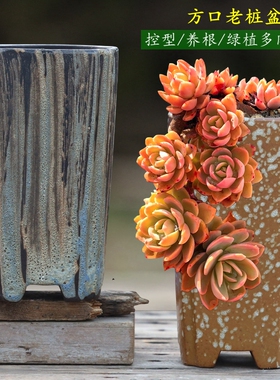 家用多肉花盆陶瓷宜兴紫砂高桩透气法师方口老桩悬崖泼墨中大号83