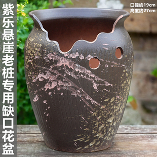 加大口径多肉花盆陶瓷缺口大肚径紫乐悬崖老桩专用盆户外庭院专用