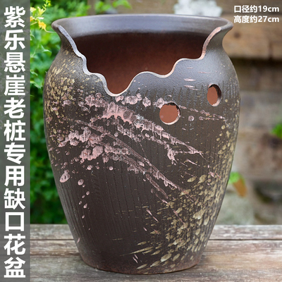 加大口径多肉花盆陶瓷缺口大肚径紫乐悬崖老桩专用盆户外庭院专用