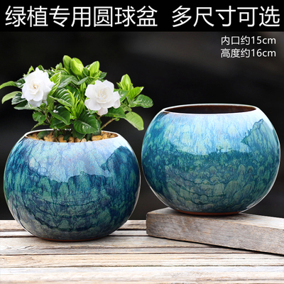 室内外家用文心兰栀子花小型绿植