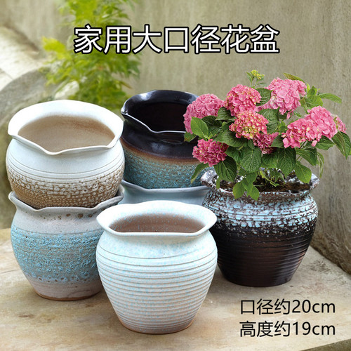 家用多肉绿植简约陶瓷花盆绣球花