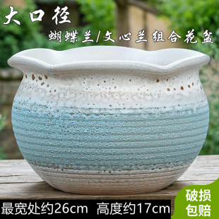 阳台庭院家用特大口径蝴蝶兰文心兰组合花盆多肉群生专用花盆陶瓷