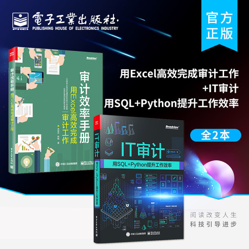 正版全2本 审计效率手册 用Excel高效完成审计工作+IT审计 用SQL+Python提升工作效率 SQL基础实战数据可视化书籍
