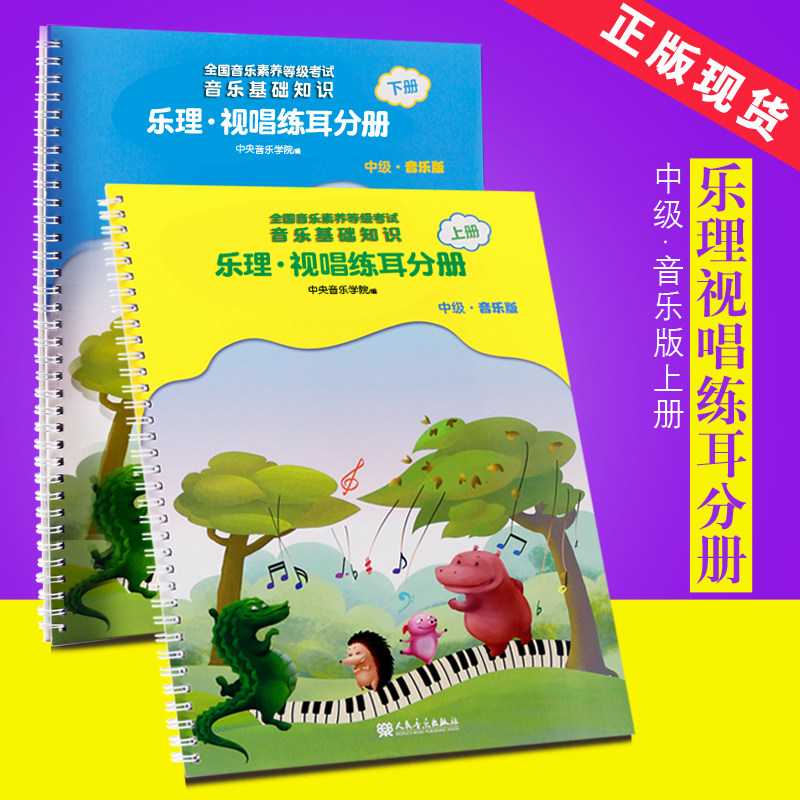 正版音乐基础知识 乐理视唱练耳分册中级上下册 中央音乐学院编 2018儿童乐理基础素养入门教材 音乐基础知识入门书