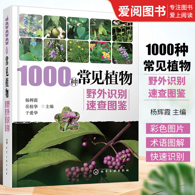 正版1000种常见植物野外识别速查图鉴 杨辉霞 化学工业出版社 图解中草