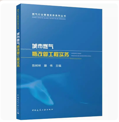 正版城市燃气瓶改管工程实务 陈树林 中国建筑工业出版社 资金筹措协调机制建设流程造价施工运营管理 可作为职工培训教材书籍
