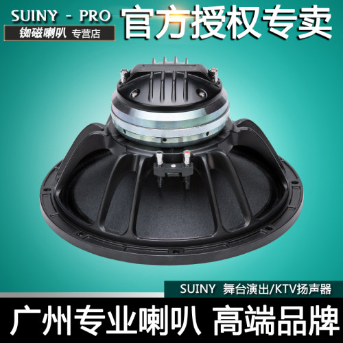 12寸号角SUINY进口同轴
