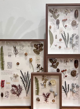 植物标本装饰画相框家居摆台法式复古百搭电视背景墙组合装饰画