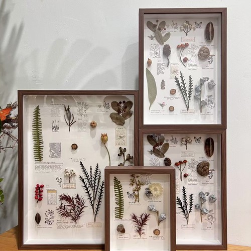 植物标本装饰画相框家居摆台法式复古百搭电视背景墙组合装饰画