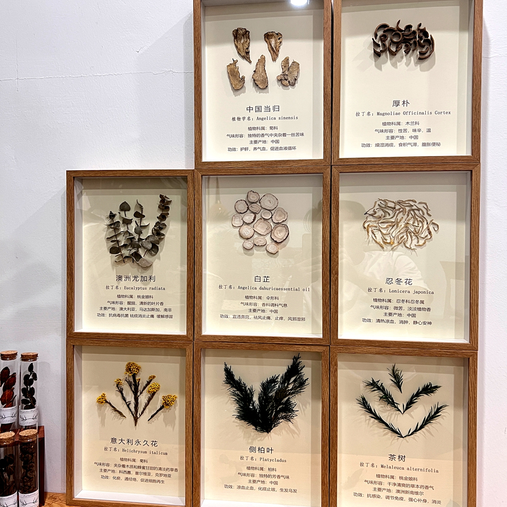 纯手工植物标本DIY装饰画芳香疗愈手作店铺定制墙面挂画标本装饰图片