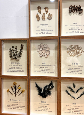 纯手工植物标本DIY装饰画