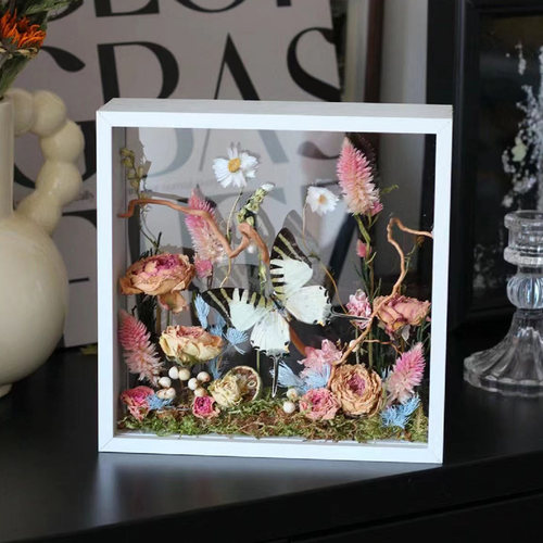 双面玻璃蝴蝶标本微景观科普儿童昆虫摆件干花植物相框个性礼物