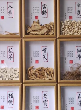 中药材标本装饰画中医药食同源
