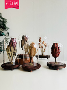 样板间轻奢植物标本装饰品玻璃罩摆件花艺中草药复古简约标摆件