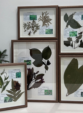 植物标本相框手工diy压花画框