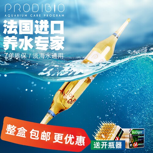 科迪硝化细菌净化鱼缸水质