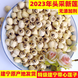 2023年特级有心莲子干货