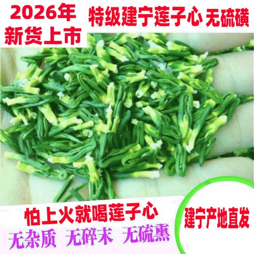 2026年新货特级精选建宁莲子心莲芯莲心茶天然正品莲子芯干货无硫