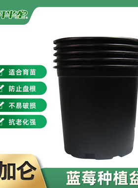 1加仑盆5个一份 加仑花盆 蓝莓、绿植种植容器 1加仑  黑色实用